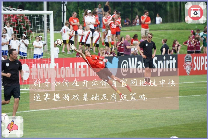 新手如何在开云体育官网地址中快速掌握游戏基础及有效策略