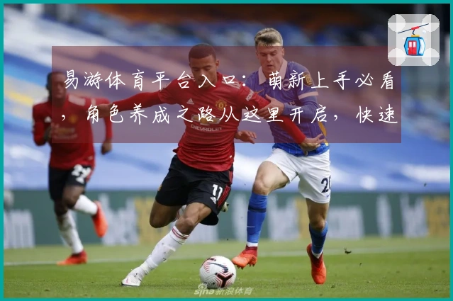 易游体育平台入口：萌新上手必看，角色养成之路从这里开启，快速提升战力秘诀！