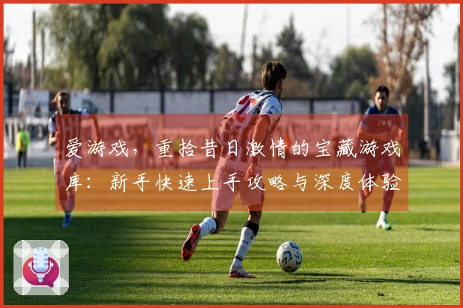 爱游戏，重拾昔日激情的宝藏游戏库：新手快速上手攻略与深度体验指南